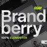 Brandberry  Creative Elementor WordPress Theme Free Download